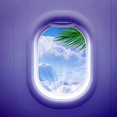 Step into paradise with CLAIRESEME cosmetics.