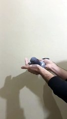 VID-20241125-WA0005 34-24-37754