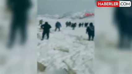 Karaman'da tipiye yakalanan 350 koyun ve eşek donarak telef oldu