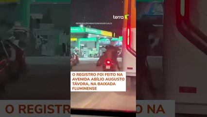 Cavalo é carregado em moto por duas pessoas em Nova Iguaçu, no RJ