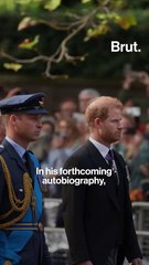 Prince Harry’s physical attack by Prince William