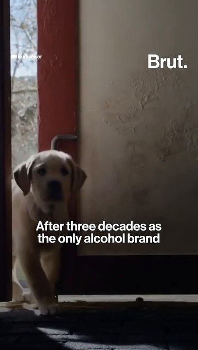 The incoming wave of beer Super Bowl ads