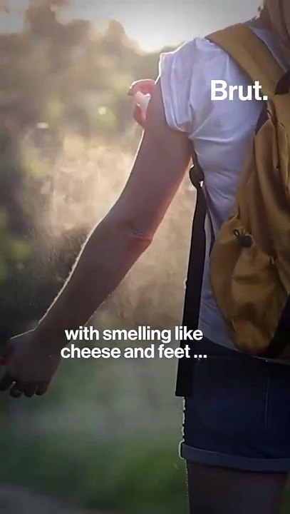 New study explains “mosquito magnets”