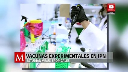 IPN impulsa investigación de vacunas experimentales y estudio de virus tropicales