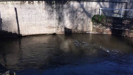 Bridge over the River Lyd at Lydney