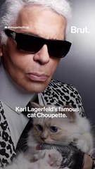 All the cats at the Met Gala