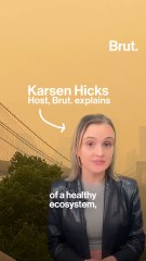 Canadian wildfires affect U.S. cities