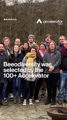 Using bees and AI to reduce pollution