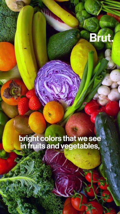 7 simple questions on the gut-brain connection