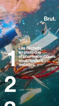 Un scientifique et une comédienne se sont associés pour alerter sur l'état de santé de l'océan