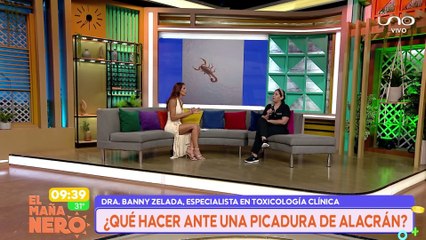 que hacer ante la picadura de un alacrán