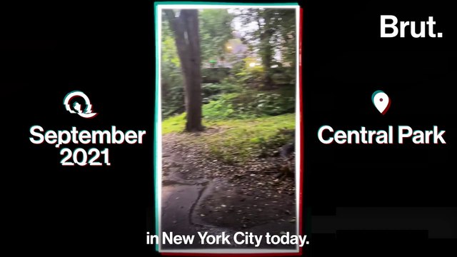 Documentary: Homeless in New York Part 2: Homeless and Hired