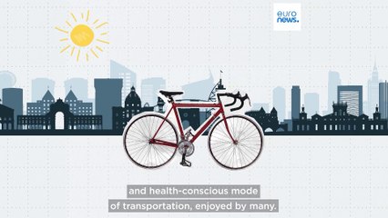 Which EU countries saw the biggest decline in bicycle production?