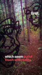 Art that shows what schizophrenia feels like