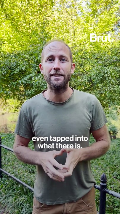 Foraging with Rob Greenfield