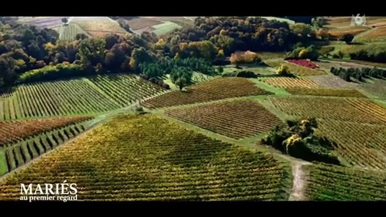 Gilbert Bou Jaoudé annonce l'abandon de Camille à Romain dans "Mariés au premier regard"