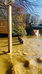 flooding at The Mill