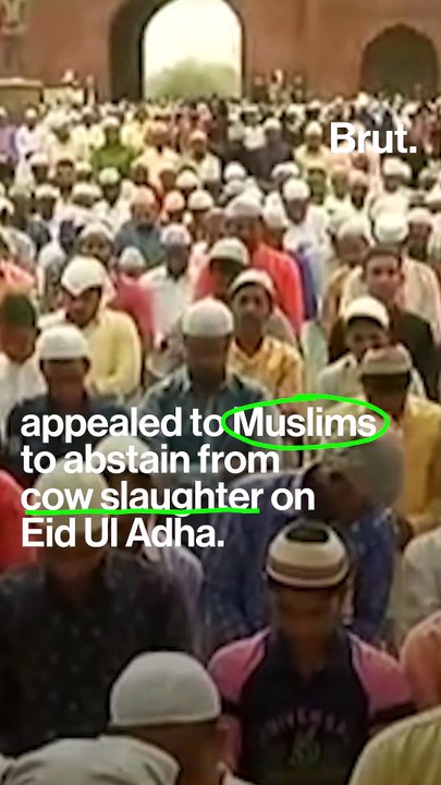 This Bakrid, avoid cow slaughter: AIUDF chief