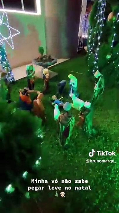 Quem é a dona da casa super decorada com iluminação natalina que viralizou na internet em SC