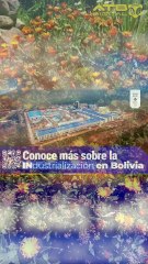 Luis, un apasionado rescatador de abejas (1 informa)