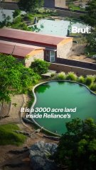 Discover Vantara: India's Wildlife Conservation Hub 🐾