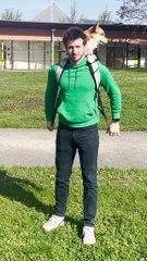 Dog Scooter BackPack ! #dog #corgi #scooter