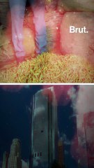 Why I quit my job to sell turmeric