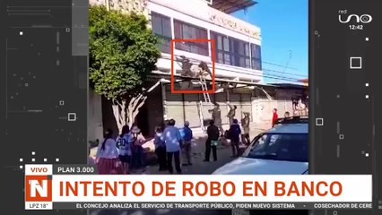 Delincuente aprehendido por robo, informe policial