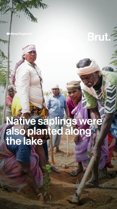 The engineer who's reviving dead lakes