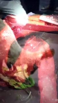 Smuggled, injured and rescued: Kangaroos in West Bengal