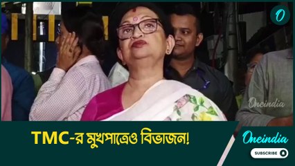 TMC-র মুখপাত্রেও বিভাজন! দিল্লির ক্ষেত্রে দলের হয়ে বলবেন অভিষেক, অর্থনীতি নিয়ে বলবেন অমিত মিত্র