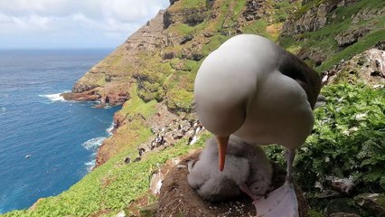 Enquête de haut vol by Prescillia LEMESLE