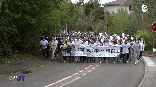 Le JT - 25/11/24 - Victorine Dartois, Hardrige, Festival Cinéma Nature et Environnement