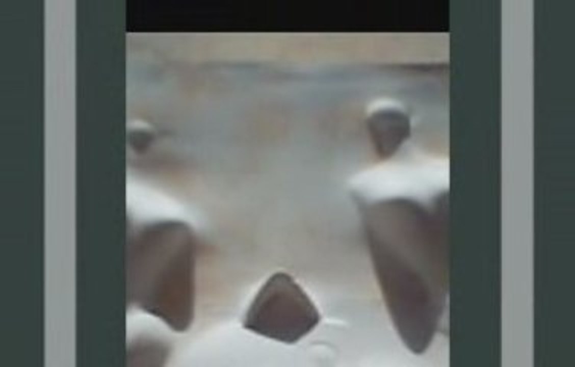 Le stade nasal, ODEURS,