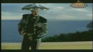 Pepe aguilar- me vas a extraña