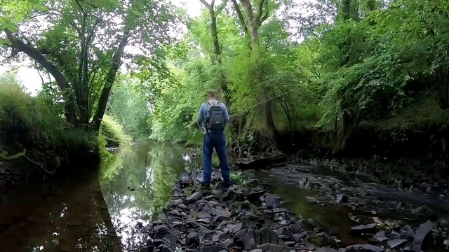 Fishing UK for 21 Days (PART 2) Wels catfish & Exploring the Midlands