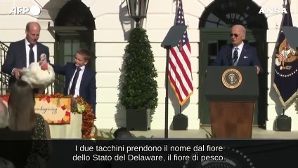 Washington, Biden grazia due tacchini per il Ringraziamento