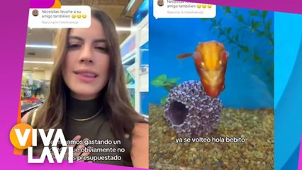 Mujer se hace viral por adoptar a un pez "chueco"
