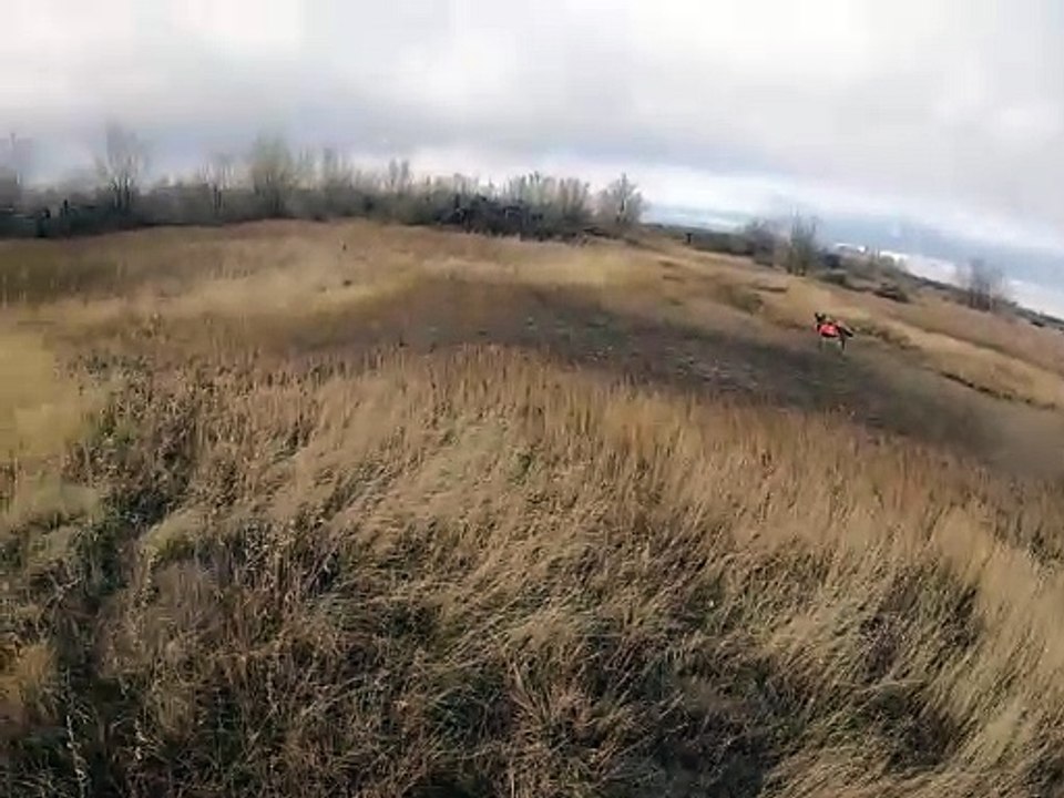 Willow Pheasant Hunt