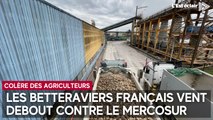 Agriculteurs en colère : les betteraviers français vent debout contre le Mercosur