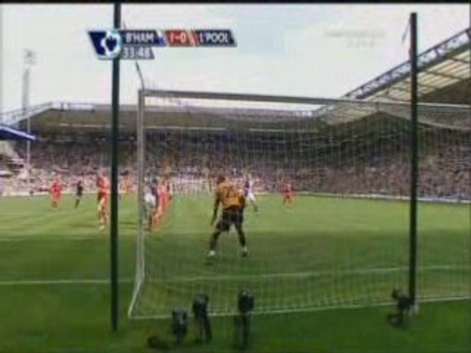 Liver gol1
