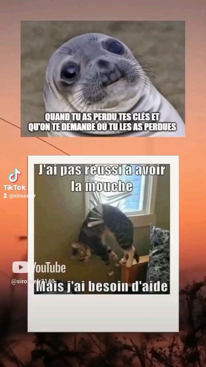 mdrrr 🤣