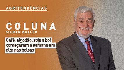 Café, algodão, soja e boi começaram a semana em alta nas bolsas