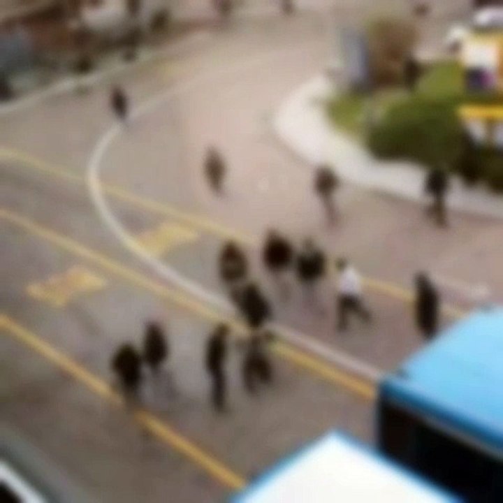Lecco, rissa tra ragazzi in stazione: 82enne scaraventato contro un autobus in movimento