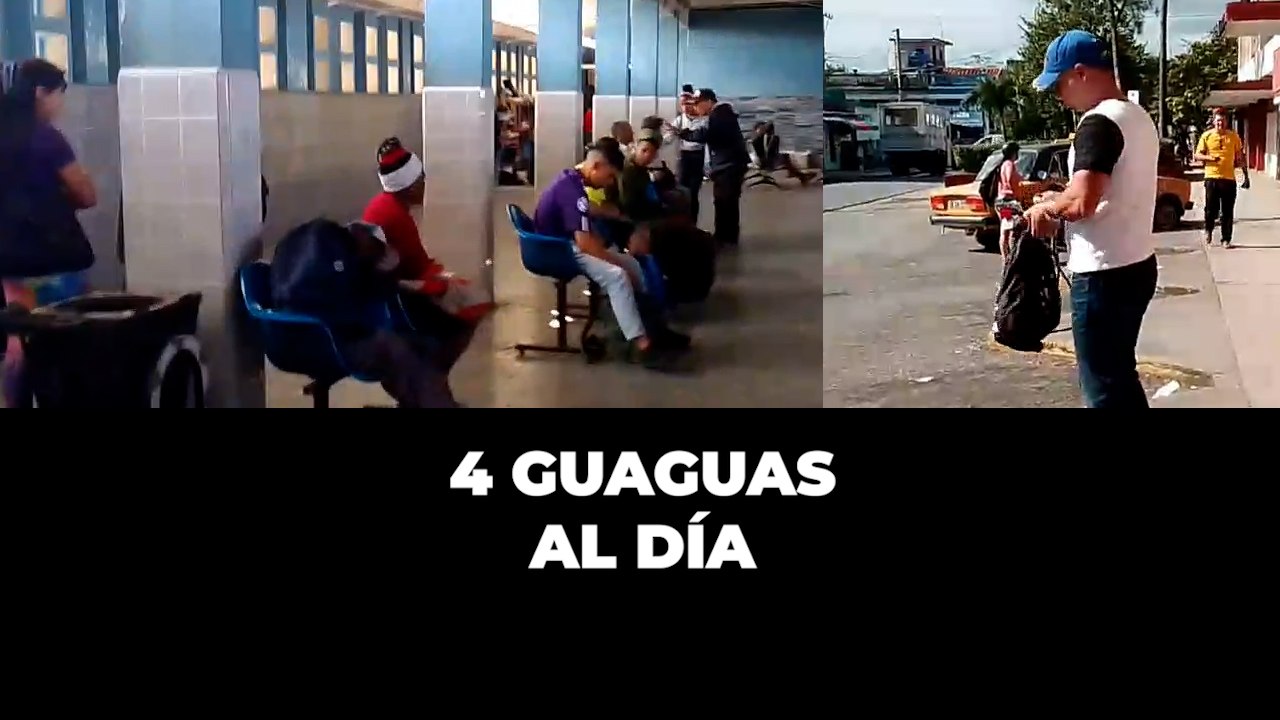 4 guaguas al día