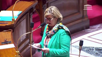 1ère séance : Questions orales sans débat - Mardi 26 novembre 2024