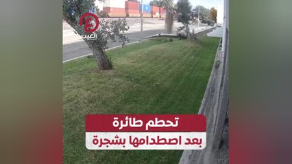 تحطم طائرة بعد اصطدامها بشجرة