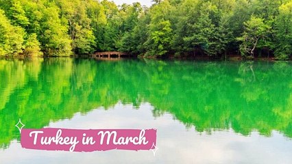 P. Tchaikovsky_ The Seasons, Op.37b, TH.135_ 3. March_ Song Of The Lark - Kseniia Prostitova