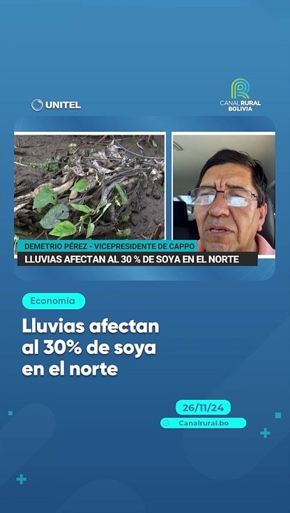 Lluvias afectan al 30% de soya en el norte