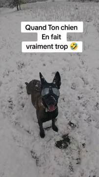 Uzès fait vraiment trop la star 🤣